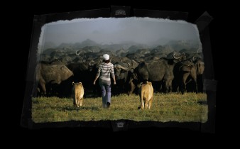 Comp-screen-_0016_13. Herd Stalking